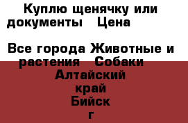 Куплю щенячку или документы › Цена ­ 3 000 - Все города Животные и растения » Собаки   . Алтайский край,Бийск г.